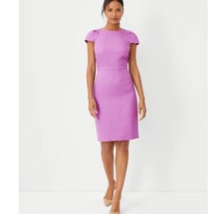 NWT - Ann Taylor - Fully Lined Cap Sleeve Sheath Dress - Size 2